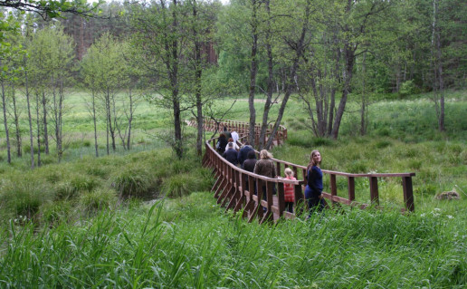 3_Bobos daržo šaltinis Lapelės foto.jpg